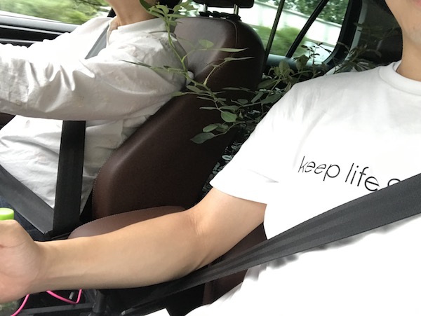 f:id:lilychaco:20190720015844j:plain
