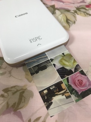 f:id:lilychaco:20190723173613j:plain