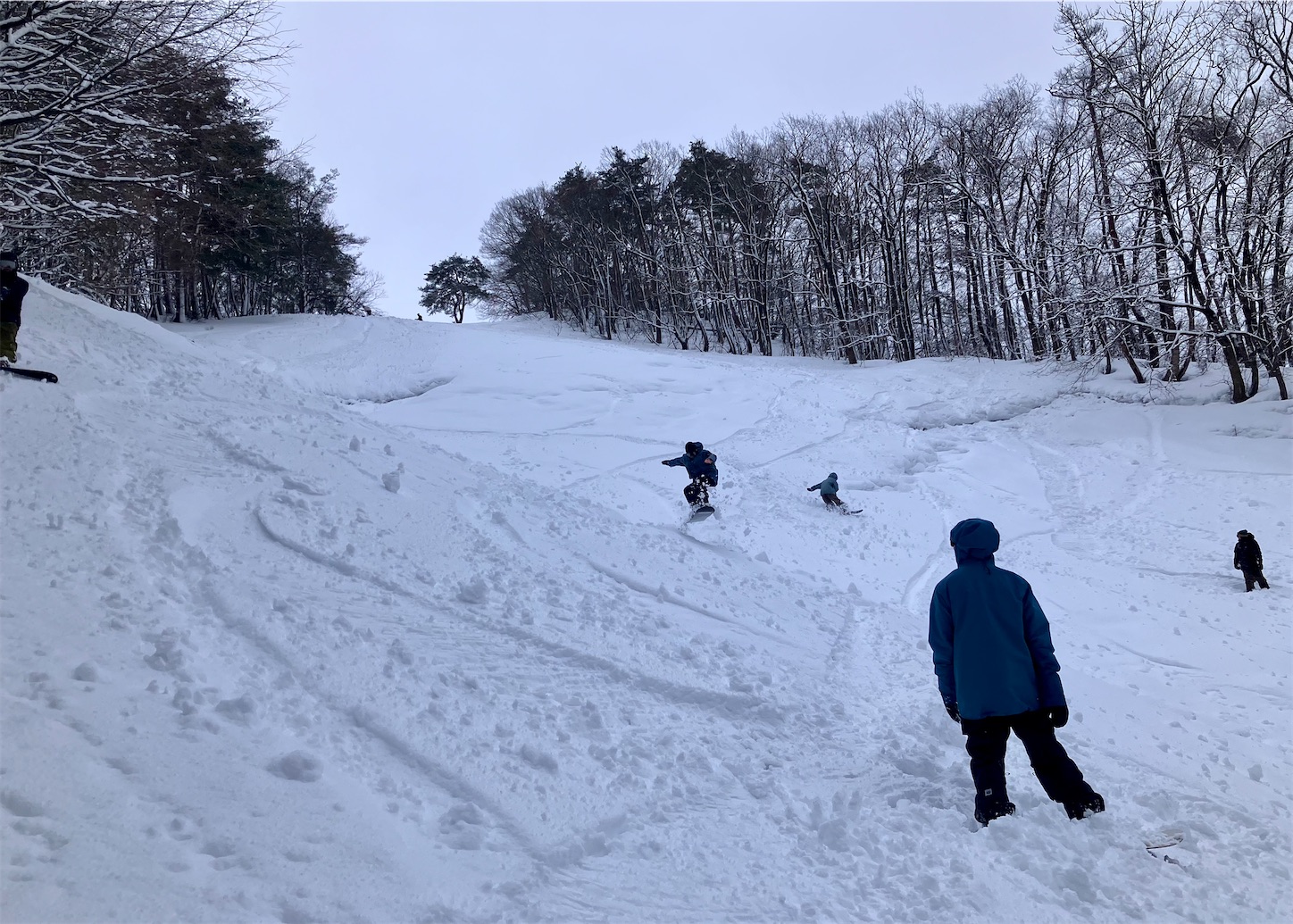 f:id:lilyup:20250130034916j:image