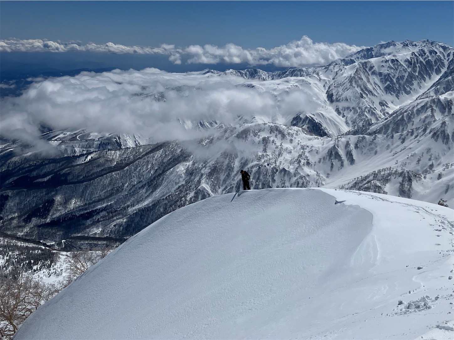 f:id:lilyup:20251022150546j:image