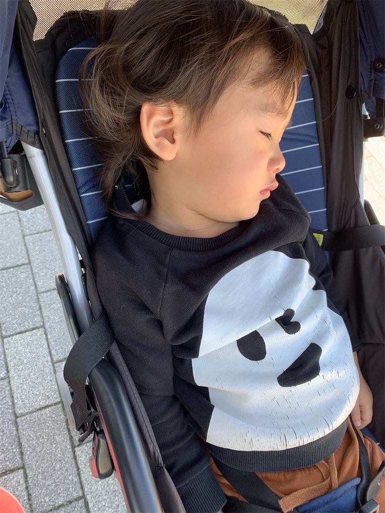 f:id:lilyyzm:20210526135835j:image f:id:lilyyzm:20210526135835j:image