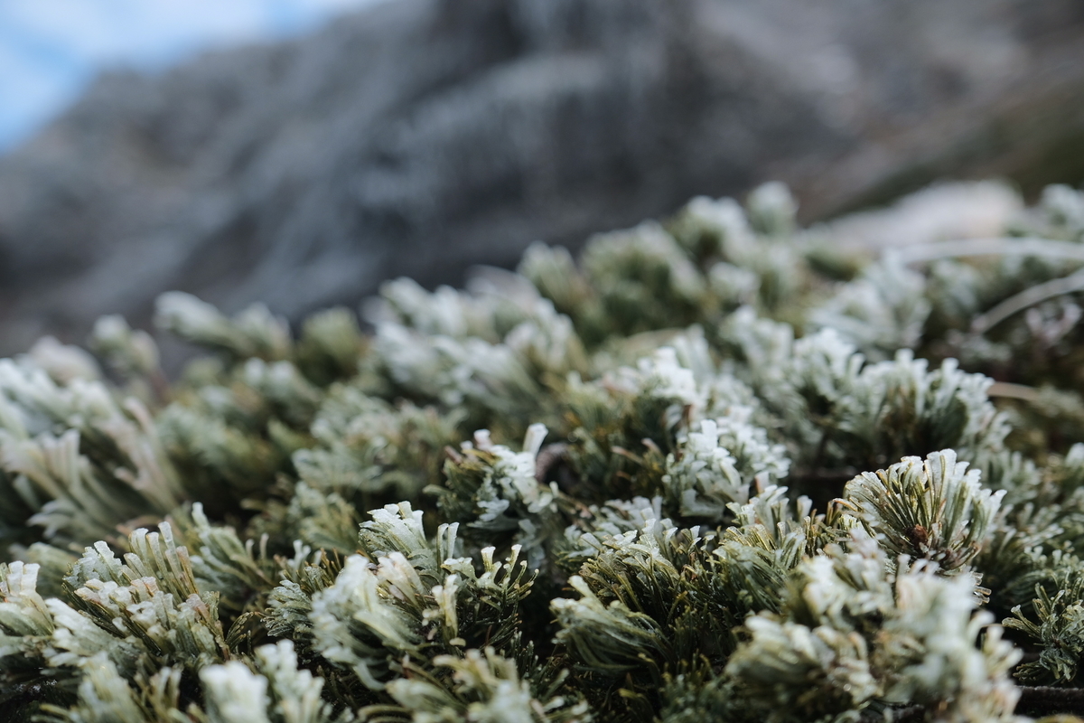 f:id:lim-mountain30:20200505211546j:plain