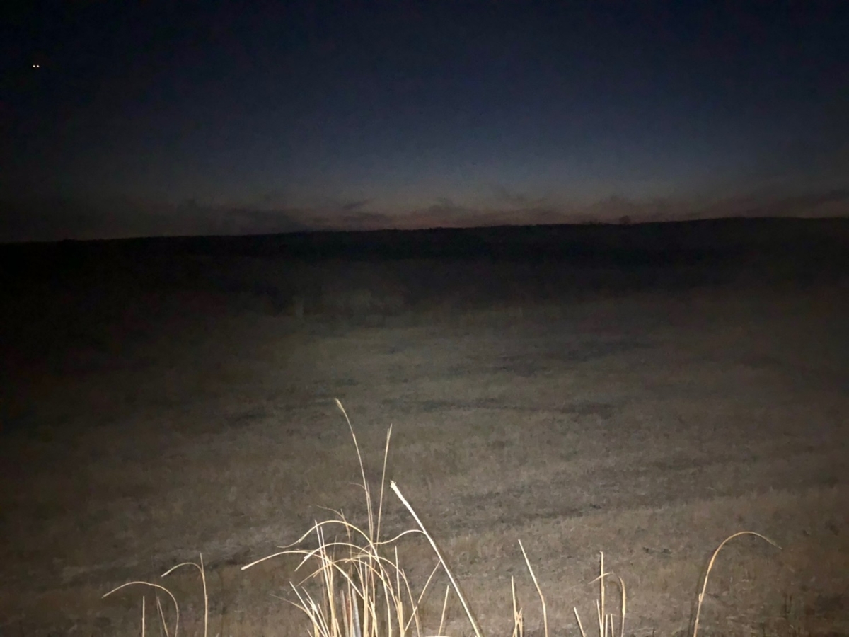 f:id:limited_time:20190321212538j:plain