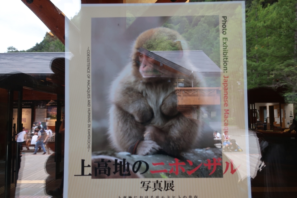 f:id:limited_time:20190817002954j:plain
