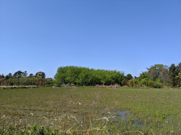 おしゃれ　外構　名古屋