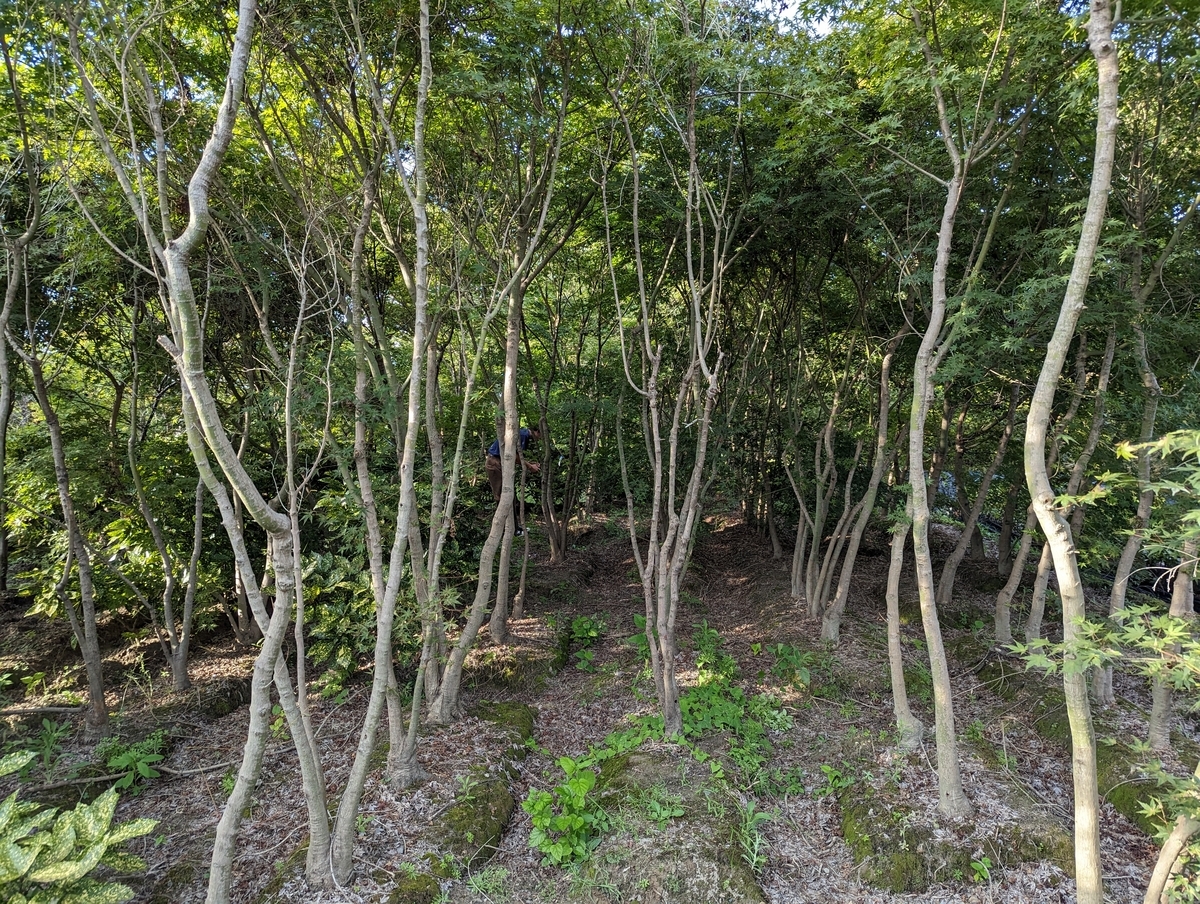 名古屋　愛知　外構