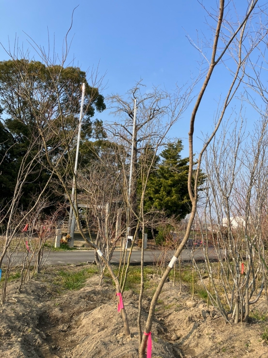 住友林業　外構　おしゃれ