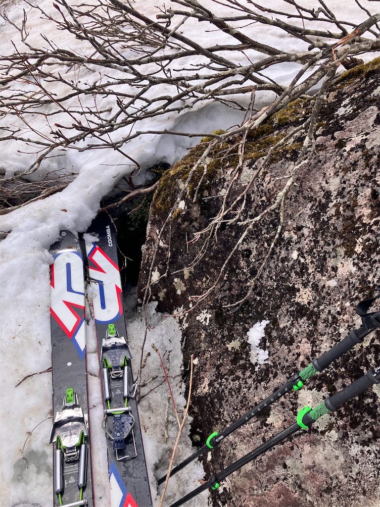f:id:limutelemark:20260513214542j:image f:id:limutelemark:20260513214542j:image