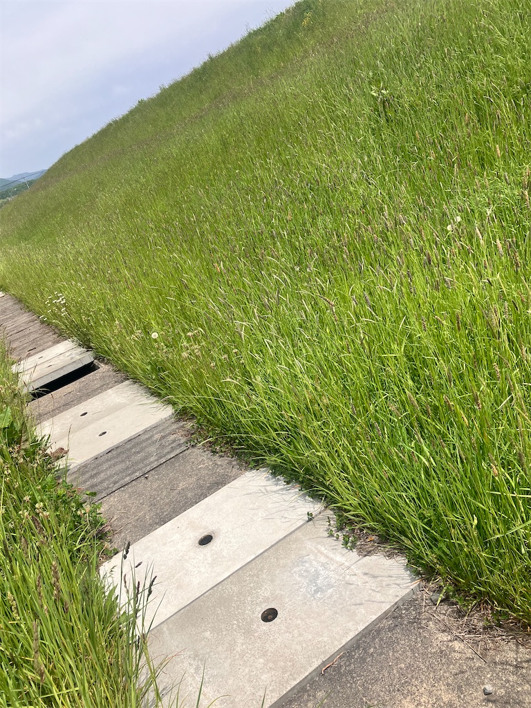 f:id:limutelemark:20260529233306j:image