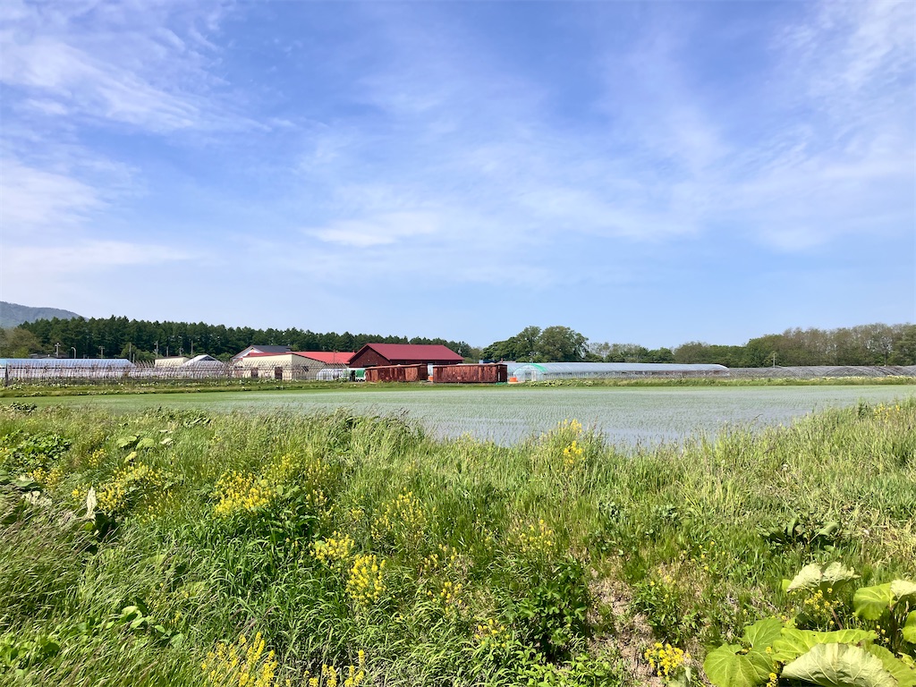 f:id:limutelemark:20260530205855j:image