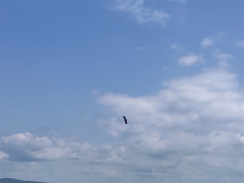 f:id:limutelemark:20260604213624j:image