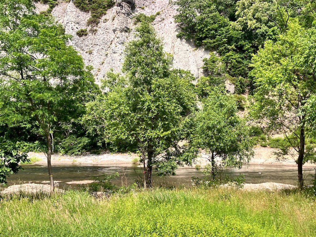 f:id:limutelemark:20260708173128j:image