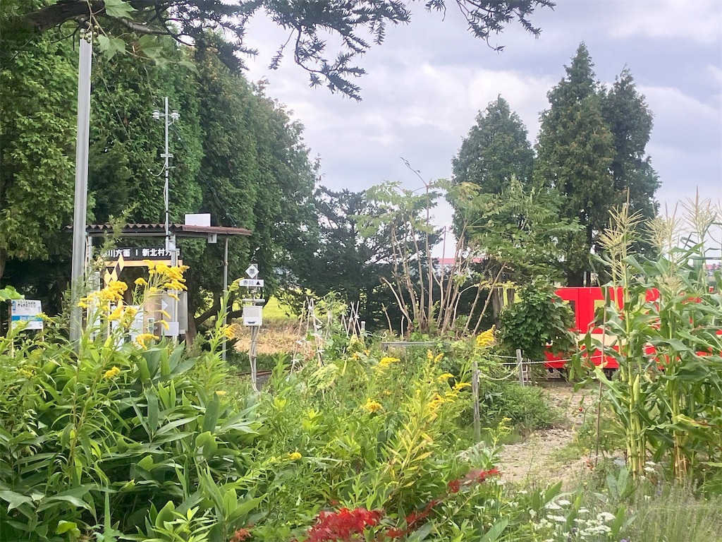 f:id:limutelemark:20260824173103j:image f:id:limutelemark:20260824173103j:image