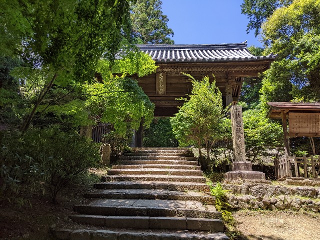 f:id:lin_lichun:20220619172822j:image
