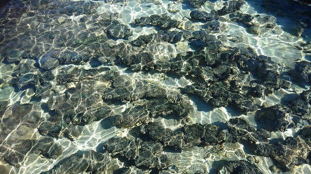 f:id:lina2:20170705183939j:image
