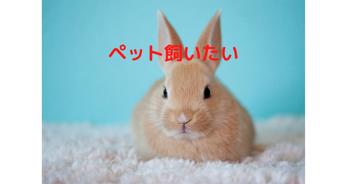 f:id:linchu127:20210513231136p:plain