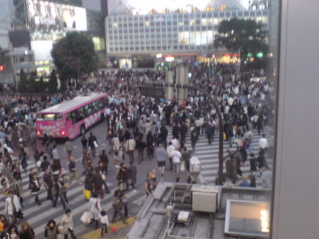 f:id:linden:20071020171159j:image:w340 f:id:linden:20071020171159j:image:w340