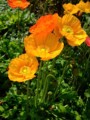 20100411202713