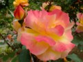 20100612202930