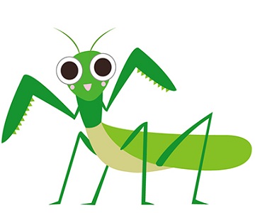 染色絵画　カマキリ ヒシムネカレハカマキリ （原色図鑑シリーズ 原色擬態昆虫 精密