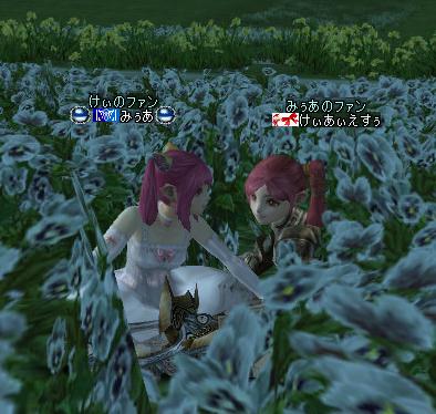 f:id:lineage2kis:20070721172846j:image