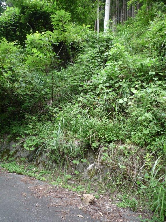 f:id:linearsagamihara:20181204145454j:plain f:id:linearsagamihara:20181204145454j:plain
