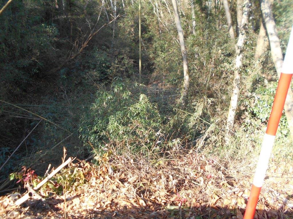f:id:linearsagamihara:20190201104435j:plain f:id:linearsagamihara:20190201104435j:plain
