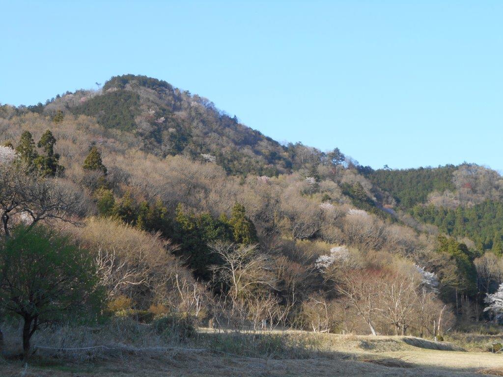 f:id:linearsagamihara:20200417153647j:plain f:id:linearsagamihara:20200417153647j:plain