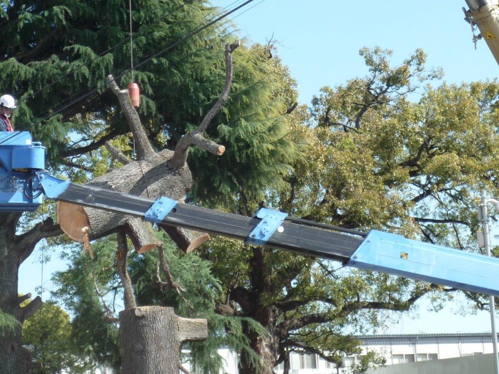 f:id:linearsagamihara:20210226225334j:plain