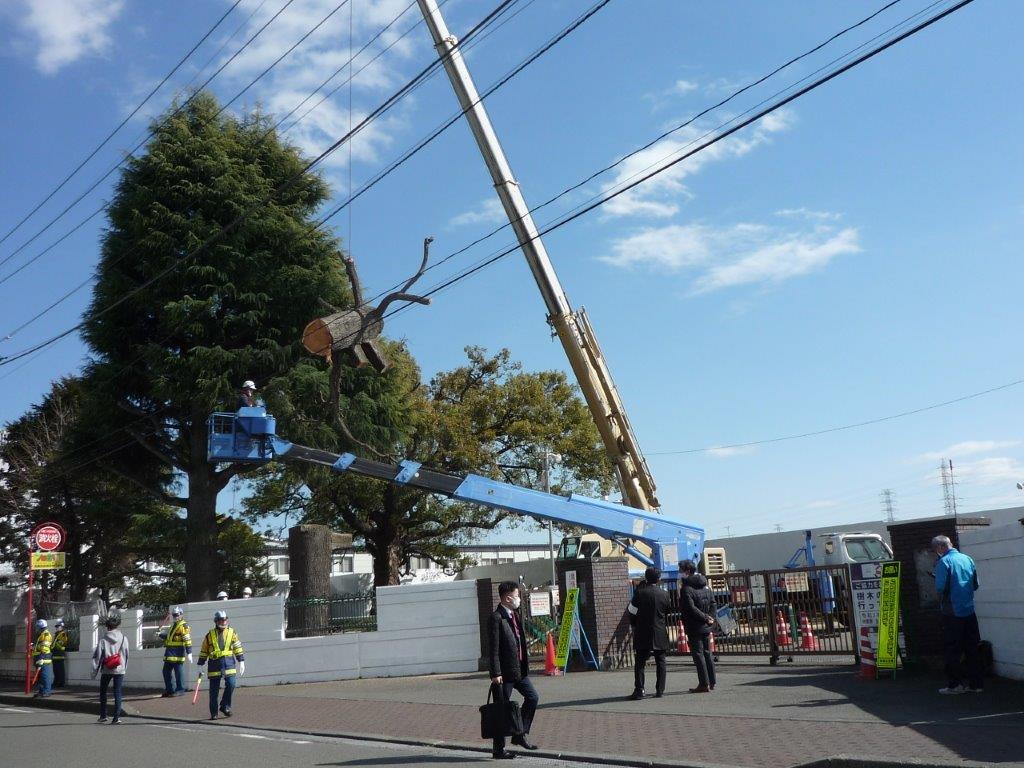 f:id:linearsagamihara:20210226230358j:plain