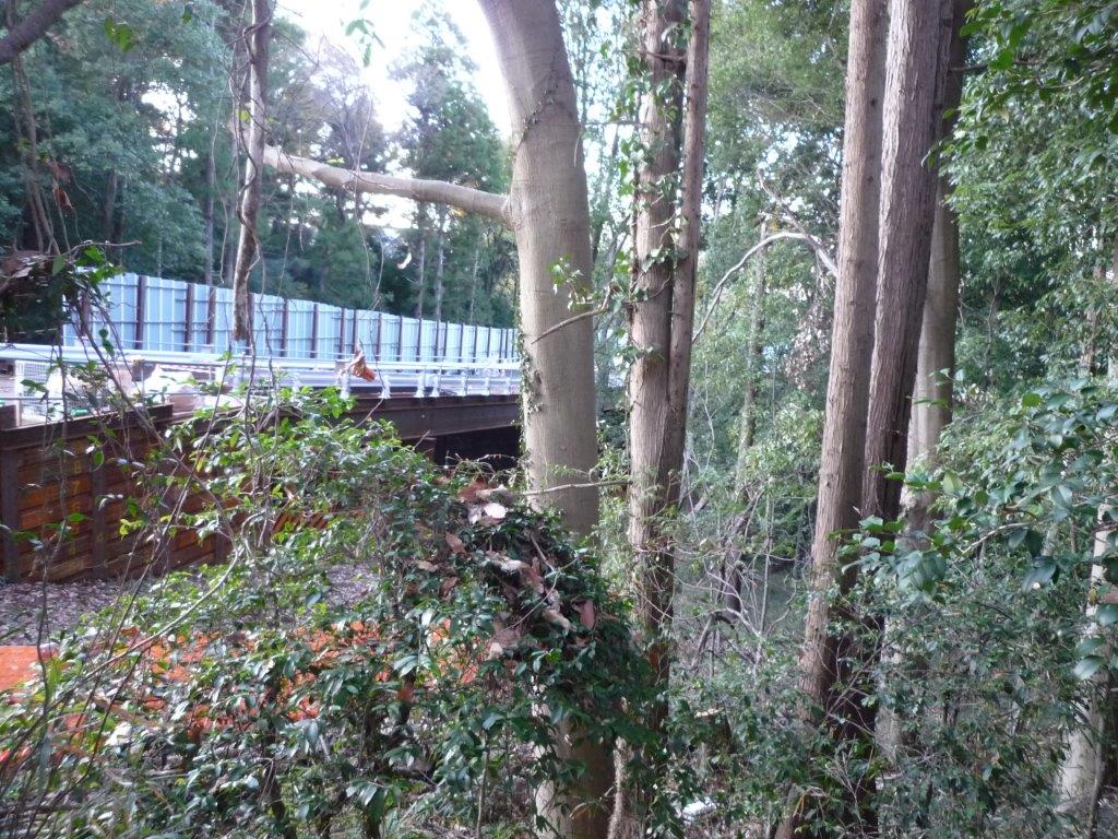 f:id:linearsagamihara:20211212045403j:plain