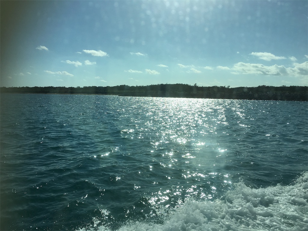f:id:linetrro:20170106203624j:image f:id:linetrro:20170106203624j:image