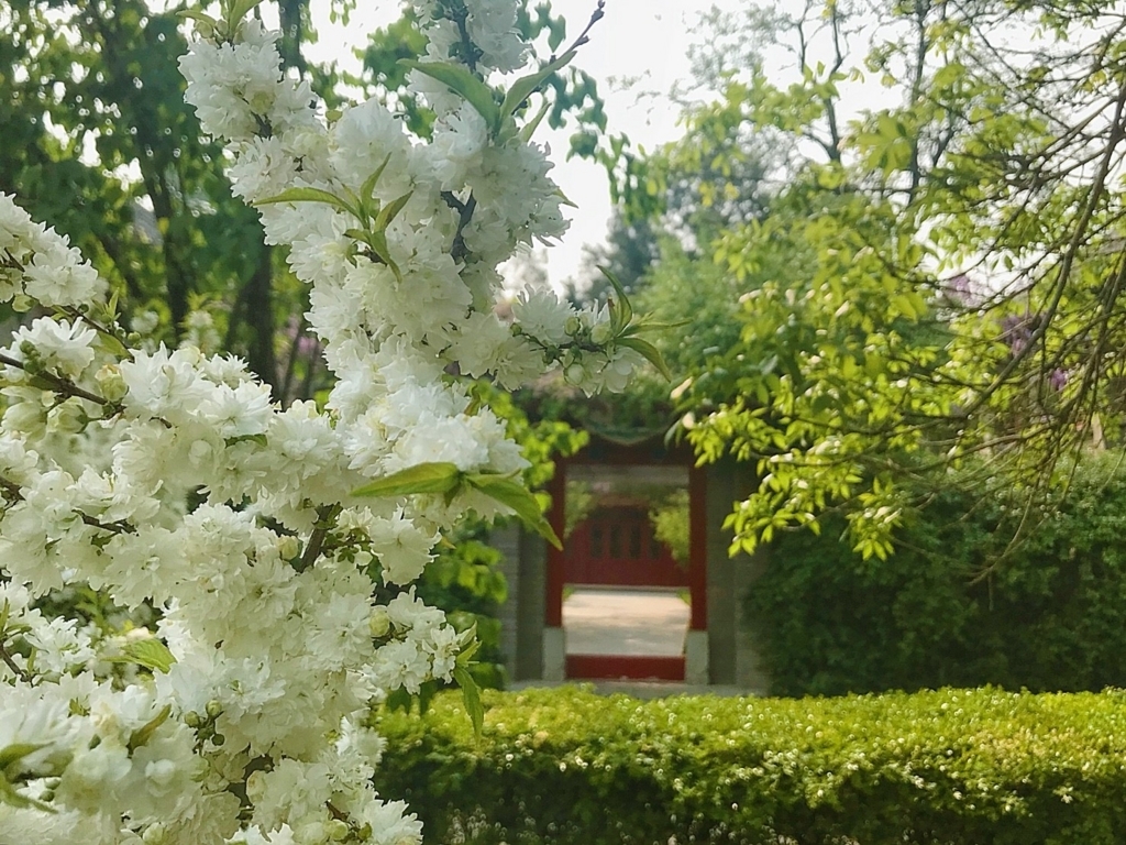 f:id:ling28china:20180421132408j:plain