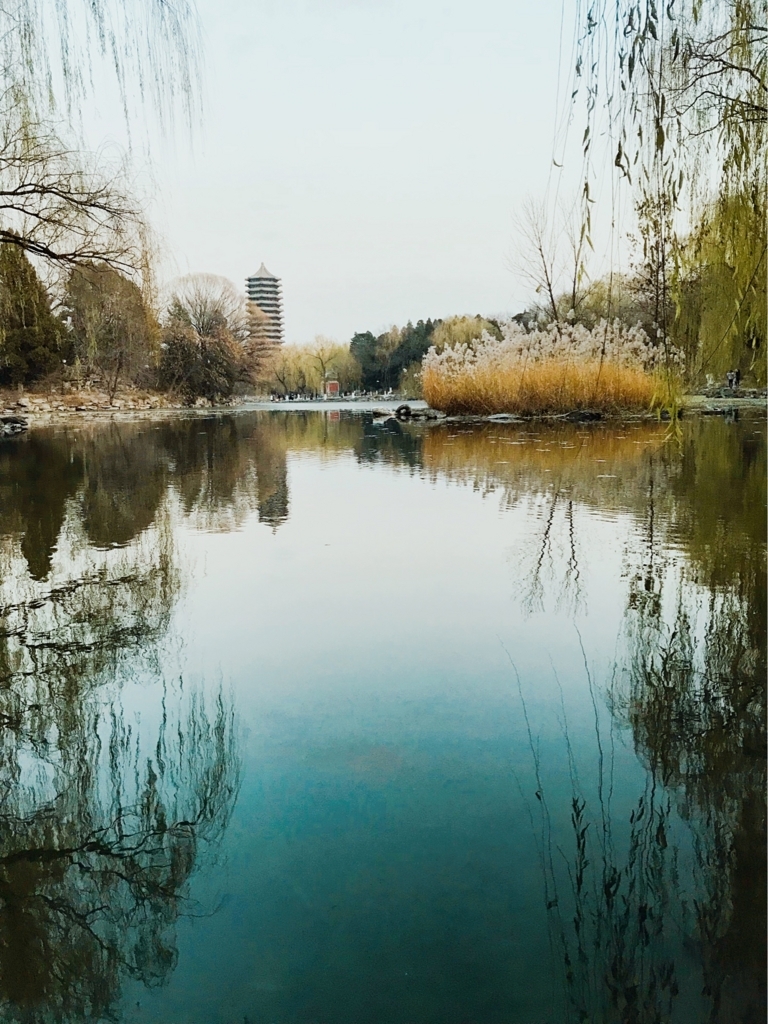 f:id:ling28china:20180421132933j:plain