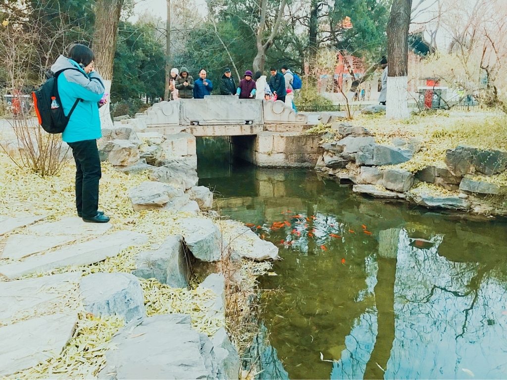 f:id:ling28china:20180421133434j:plain