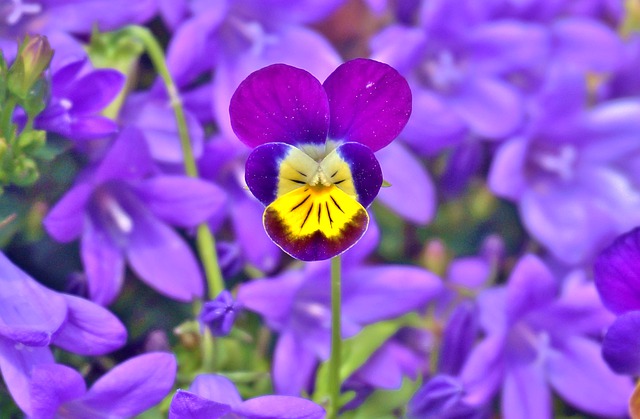 f:id:linkedsort:20190829235323j:plain f:id:linkedsort:20190829235323j:plain