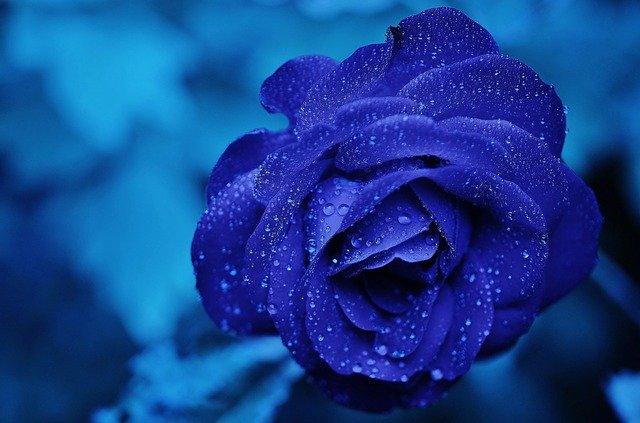f:id:linkedsort:20200726213507j:plain f:id:linkedsort:20200726213507j:plain