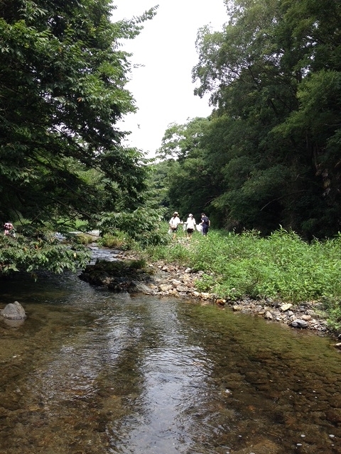 f:id:linkskomagawa:20170802223707j:plain f:id:linkskomagawa:20170802223707j:plain
