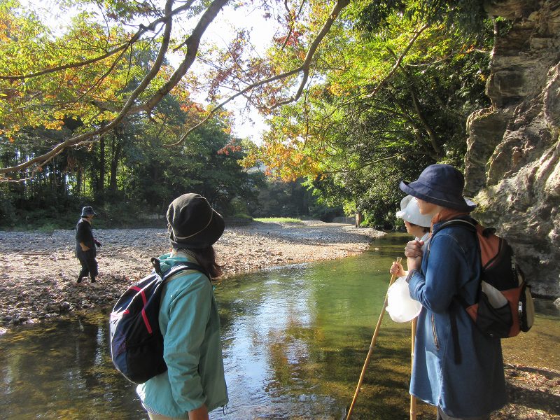 f:id:linkskomagawa:20171016222947j:plain f:id:linkskomagawa:20171016222947j:plain