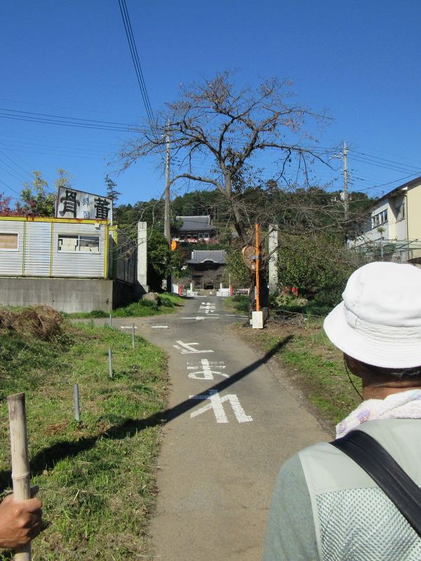 f:id:linkskomagawa:20171104084112j:plain f:id:linkskomagawa:20171104084112j:plain
