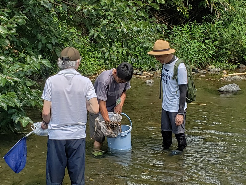 f:id:linkskomagawa:20180807033111j:plain f:id:linkskomagawa:20180807033111j:plain