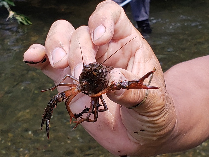 f:id:linkskomagawa:20180807033349j:plain f:id:linkskomagawa:20180807033349j:plain