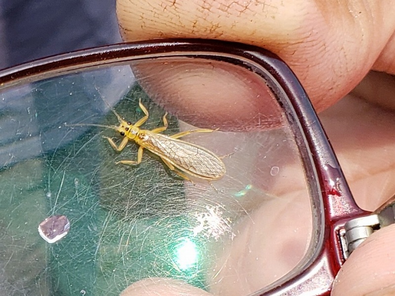 f:id:linkskomagawa:20180807033415j:plain f:id:linkskomagawa:20180807033415j:plain