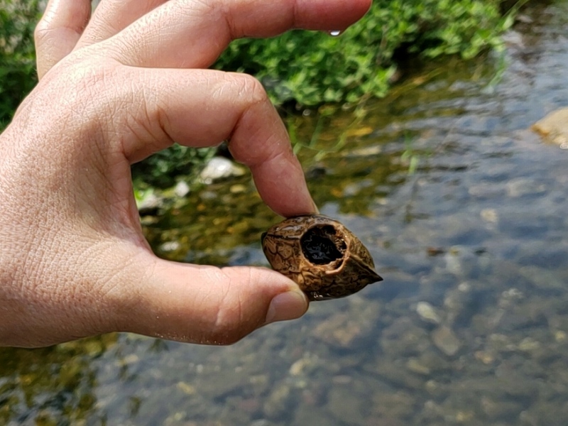 f:id:linkskomagawa:20180807033457j:plain f:id:linkskomagawa:20180807033457j:plain