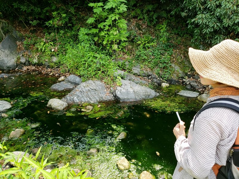 f:id:linkskomagawa:20180807033644j:plain f:id:linkskomagawa:20180807033644j:plain