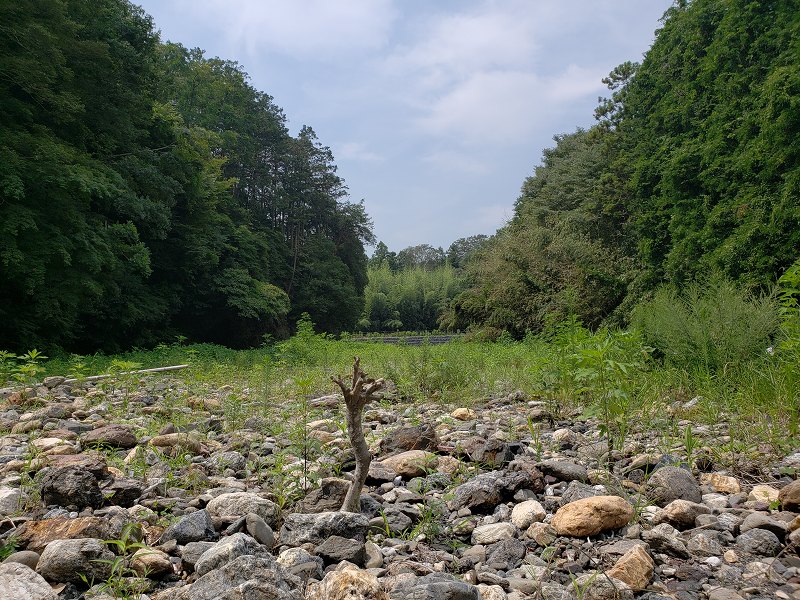 f:id:linkskomagawa:20180807033932j:plain f:id:linkskomagawa:20180807033932j:plain