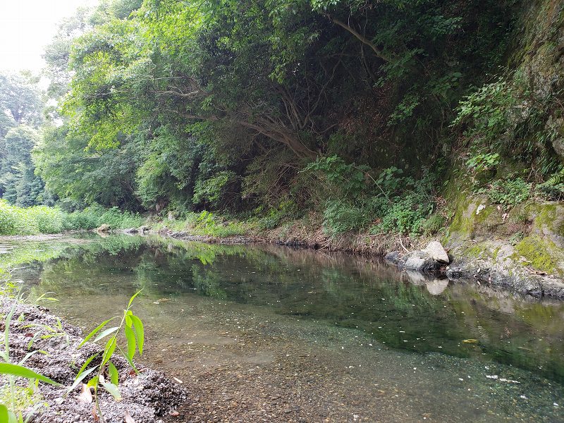 f:id:linkskomagawa:20180807034126j:plain f:id:linkskomagawa:20180807034126j:plain