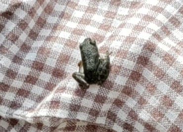 f:id:linkskomagawa:20180807034909j:plain f:id:linkskomagawa:20180807034909j:plain