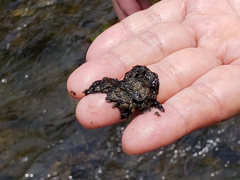 f:id:linkskomagawa:20180807035035j:plain f:id:linkskomagawa:20180807035035j:plain