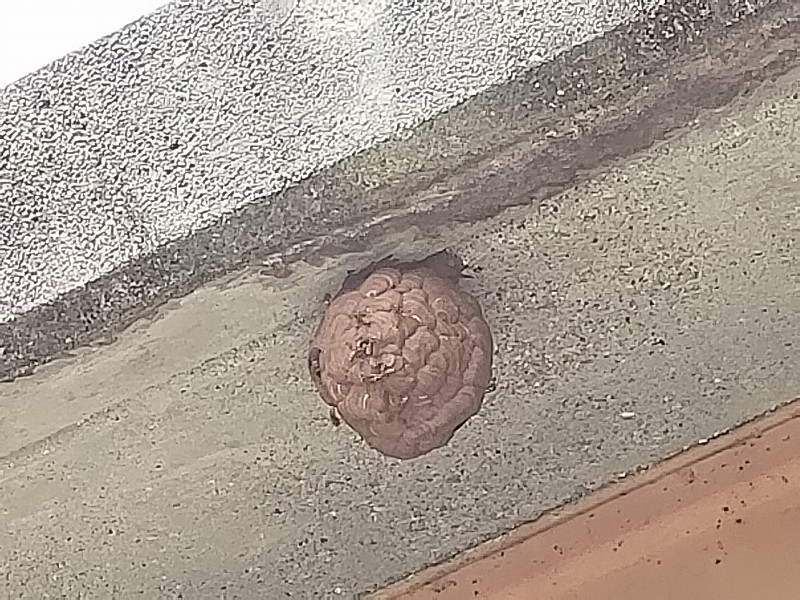 f:id:linkskomagawa:20180807035051j:plain f:id:linkskomagawa:20180807035051j:plain